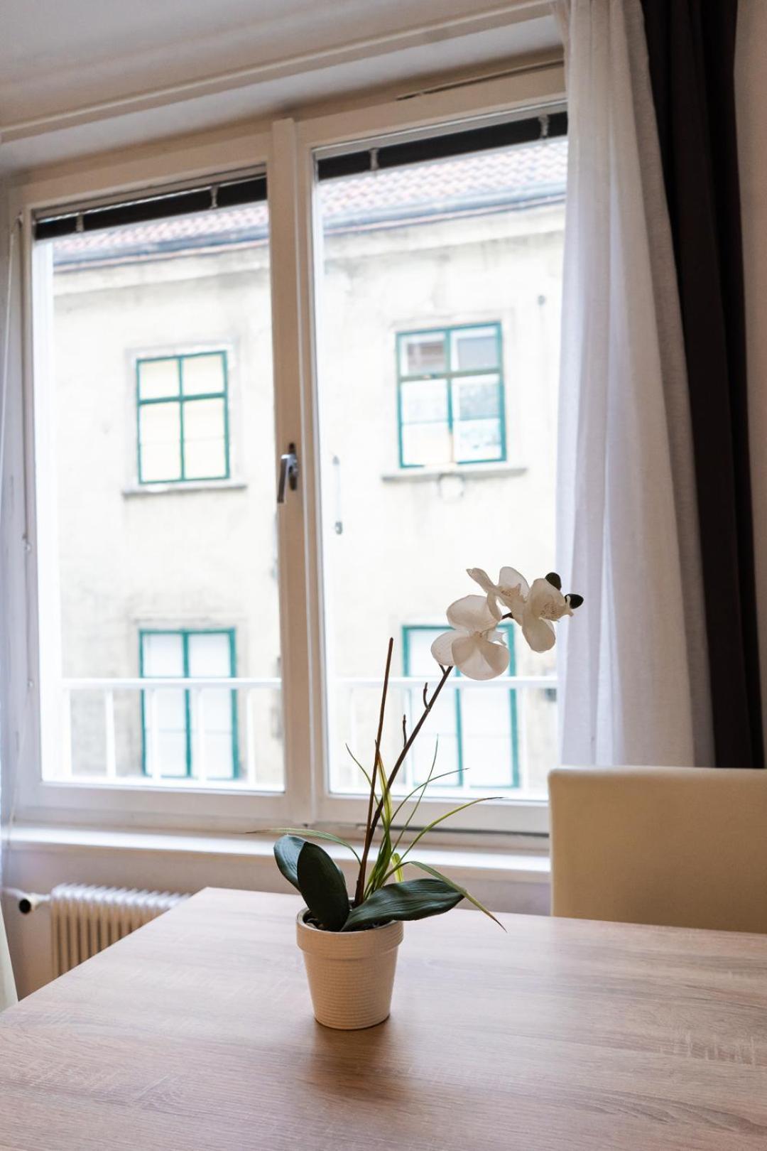 Central Living - Stephansdom Apartments Виена Стая снимка
